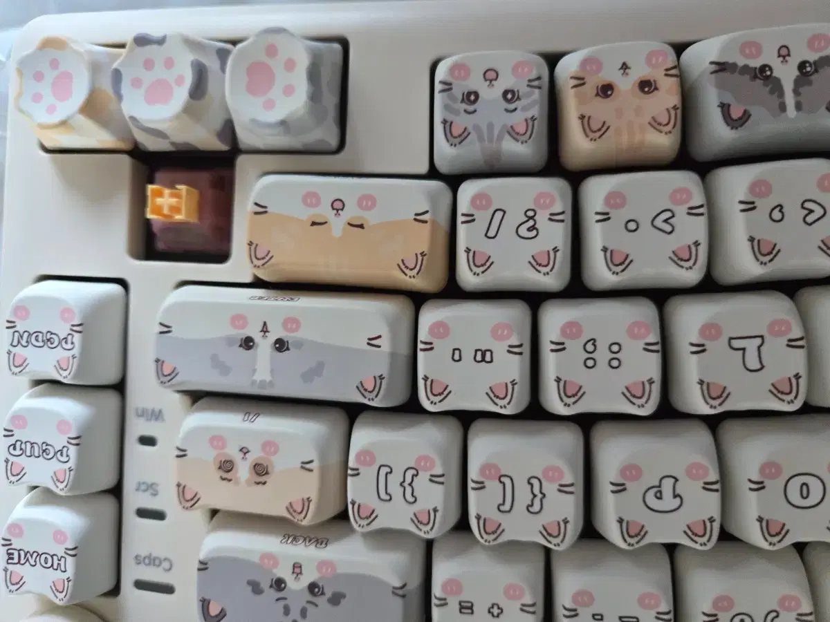 thumbnail-3